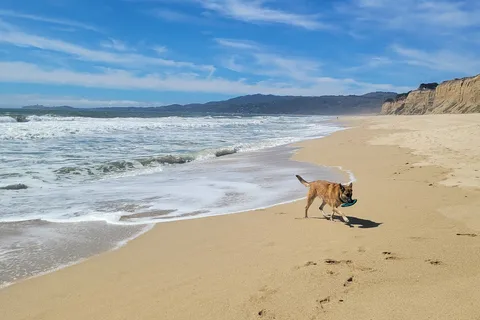 Half Moon Bay RV Park