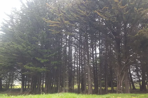 Half Moon Bay RV Park
