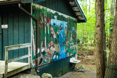 Daggett Lake Campsites