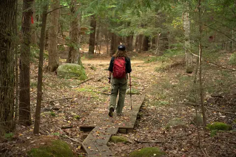 Daggett Lake Campsites