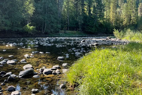 Yahk Provincial Park