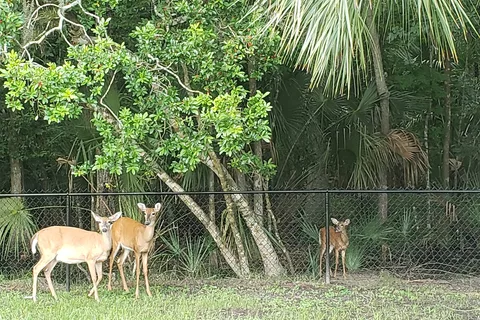 Tropical Palms RV Resort