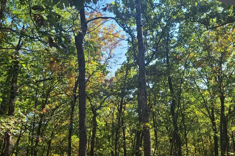 Buck Ridge - Harry S Truman State Park