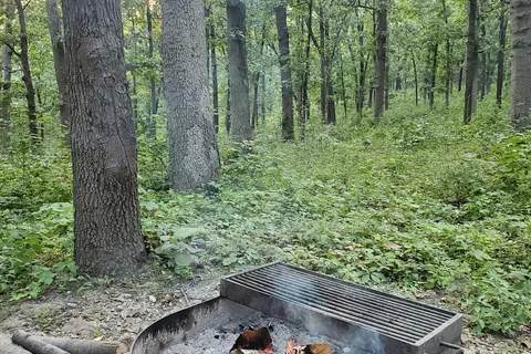 Buck Ridge - Harry S Truman State Park