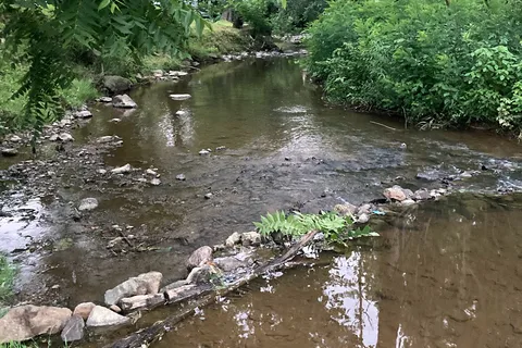 Misty Mountain Camp Resort