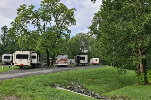 Misty Mountain Camp Resort