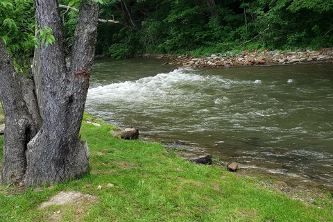 Mountain Pines Campground