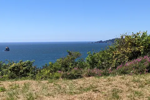 Humbug Mountain State Park