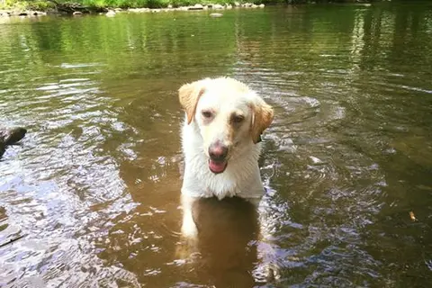 Greenbrier Campground