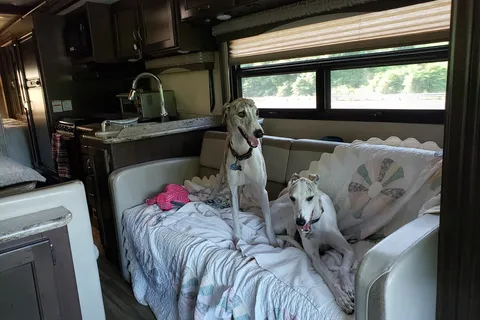 Peach Queen Campground