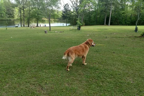 Peach Queen Campground