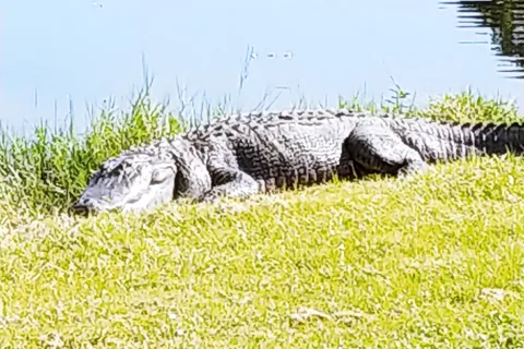 Sanlan RV and Golf Resort, Inc.