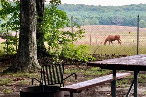 Indigo Bluffs RV Resort