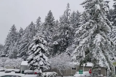 Cedar Glen RV Park