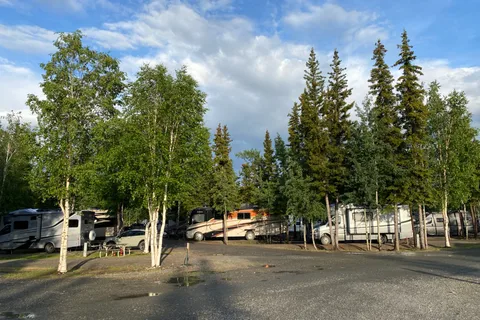 Tok RV Village Campground and Cabins