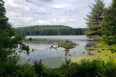 Hills Creek State Park