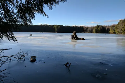 Hills Creek State Park