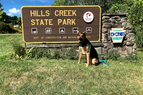 Hills Creek State Park