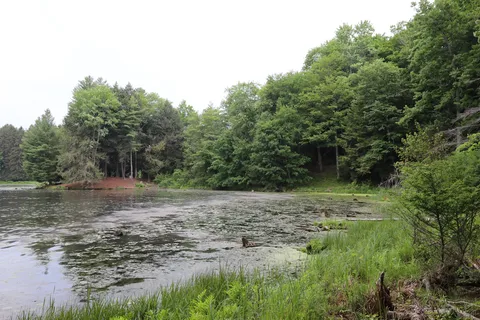Hills Creek State Park