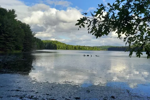 Hills Creek State Park