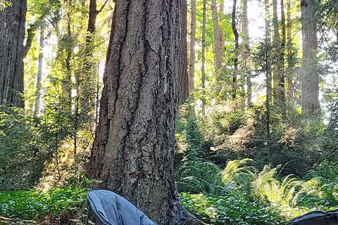 Penrose Point State Park