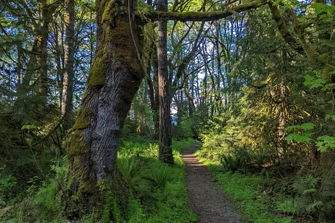 Penrose Point State Park