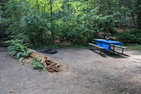 Penrose Point State Park