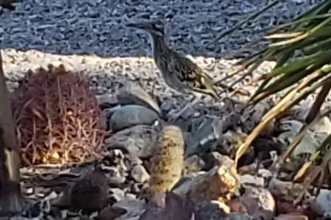 Brenda RV Park
