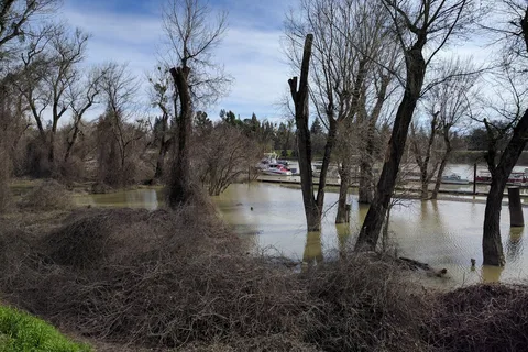 Sherwood Harbor Marina and RV Park
