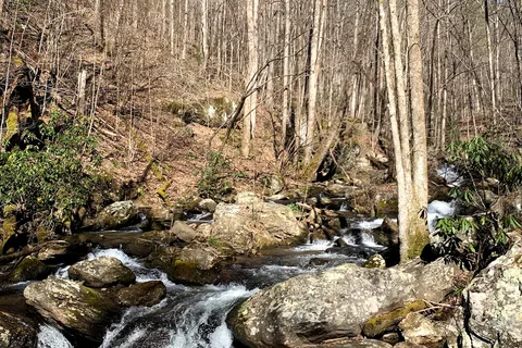 Unicoi State Park And Lodge