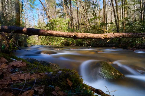 Unicoi State Park And Lodge