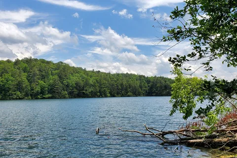 Unicoi State Park And Lodge