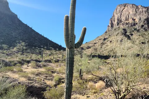 Picacho Peak State Park
