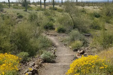 Picacho Peak State Park