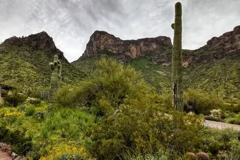 Picacho Peak State Park