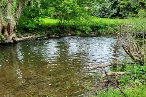 Woodstream Campsite