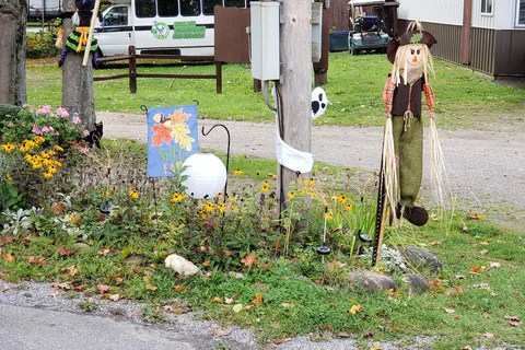 Woodstream Campsite