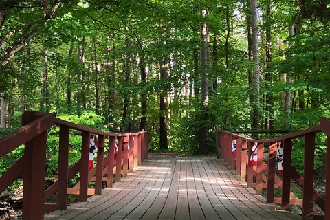 Woodstream Campsite