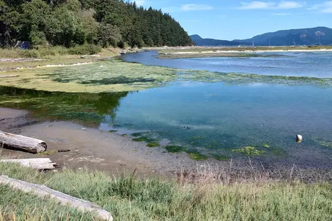 Spencer Spit State Park