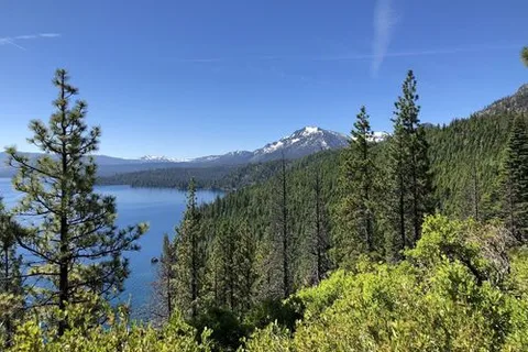 Upper/Lower Pine - D L Bliss State Park