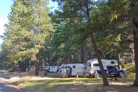 Indian Camp - Teanaway Area - Department of Natural Resources