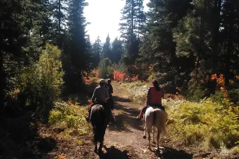 Indian Camp - Teanaway Area - Department of Natural Resources