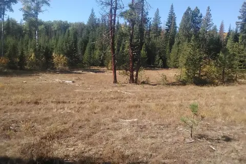 Indian Camp - Teanaway Area - Department of Natural Resources