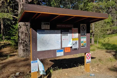 Indian Camp - Teanaway Area - Department of Natural Resources