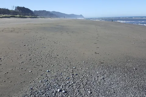 Coquille River RV Park