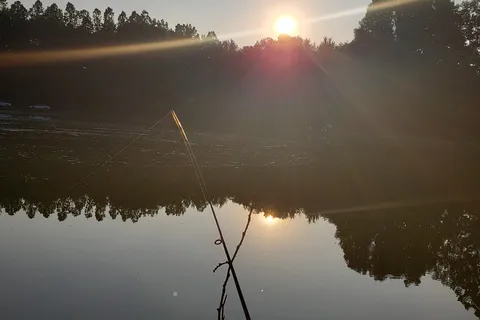 Spring Hill Campground