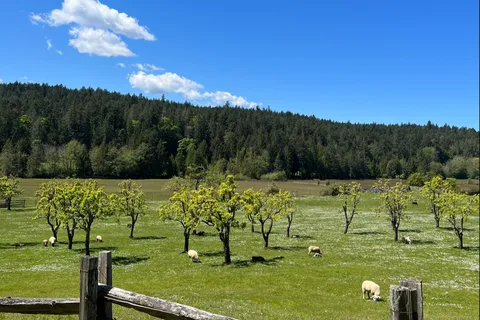 Ruckle Provincial Park