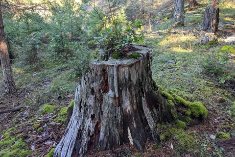 Ruckle Provincial Park