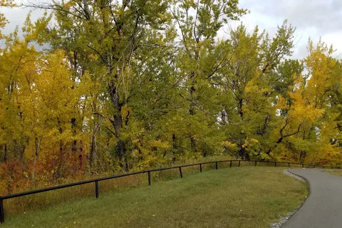 Foothills Lions Centennial Campground
