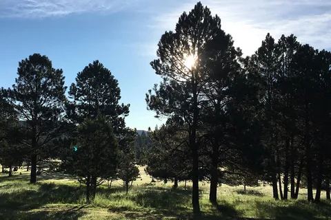 16 Springs Canyon RV Park